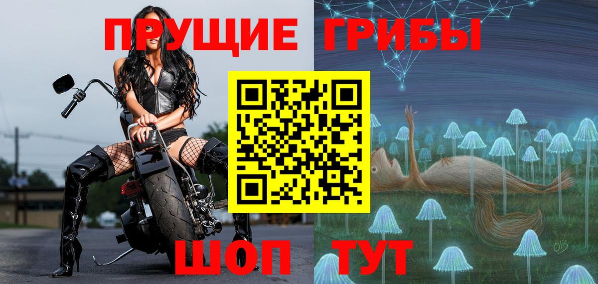 Кириши  Псилоцибиновые грибы ЛСД  Псилоцибиновые грибы ЛСД  Вход с VPN 