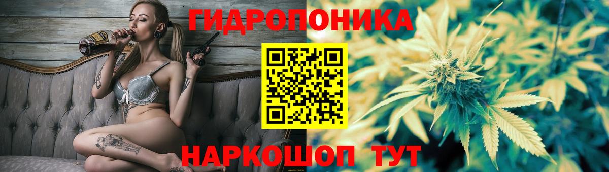 Конопля семена Кириши